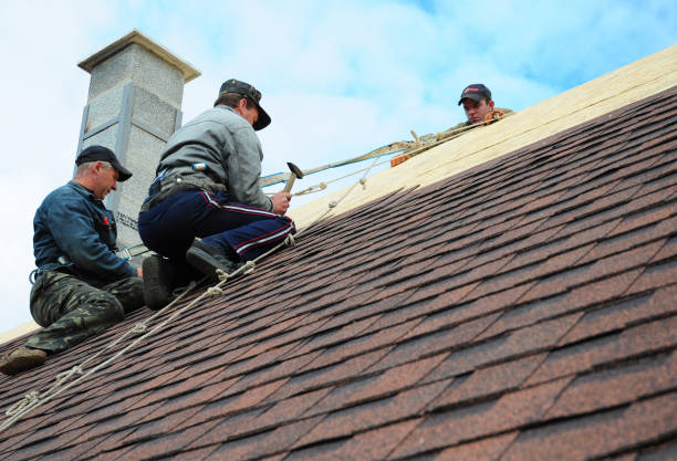 Best Roof Waterproofing Services  in Sherwood Manor, CT